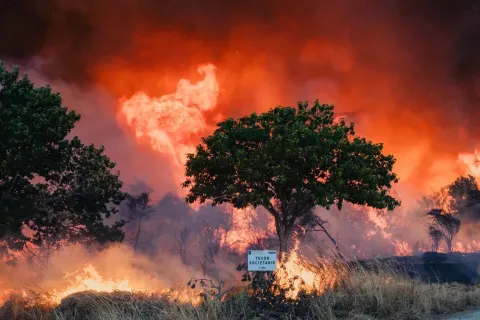 Portugal counts the cost of its biggest ever forest fire