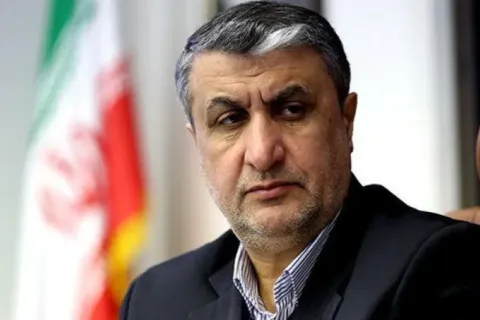 Iran says UN watchdog inspectors oversaw fuel replacement at Bushehr nuclear plant