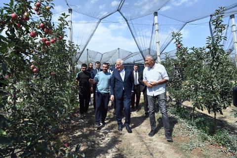 President Khachaturyan familiarized himself with the Intensive Horticulture Program in Kotayk