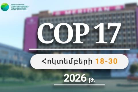 内阁批准COP17举办的场地