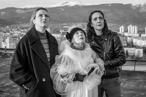 В Варне стартует XLIII болгарский кинофестиваль «Золотая роза»