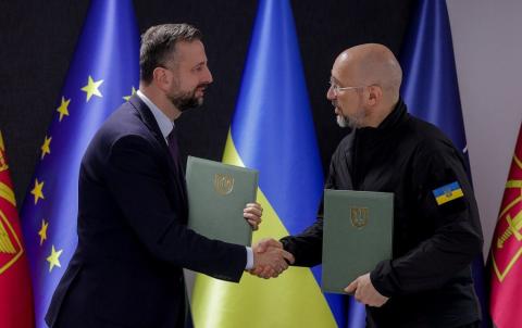 Украина и Польша создадут совместную оперативную группу по беспилотникам