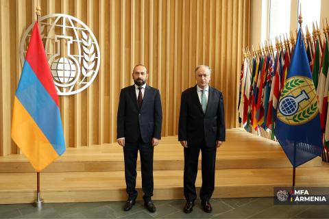 Le ministre arménien des Affaires étrangères et le directeur général de l'OIAC discutent d'un partenariat
