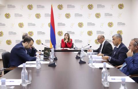 Reunión del Consejo de Reforma Constitucional liderado por Srbuhi Galyan