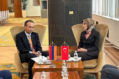 არსენ თოროსიანი თურქეთის ოჯახის და სოციალური მომსახურების მინისტრს შეხვდა