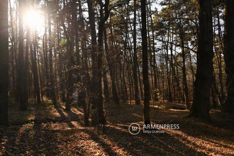 Հայաստանում սպասվում է առանց տեղումների եղանակ, որը կտաքանա 2-3 աստիճանով