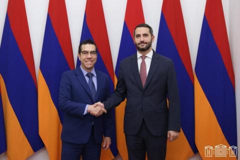 亚美尼亚议会副议长与巴西大使讨论地区局势发展