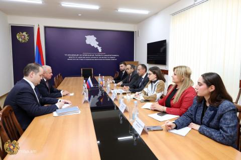 Оказываемая беженцам из Карабаха помощь должна быть скоординирована с министерством труда и соцвопросов Армении: министр принял посла РФ