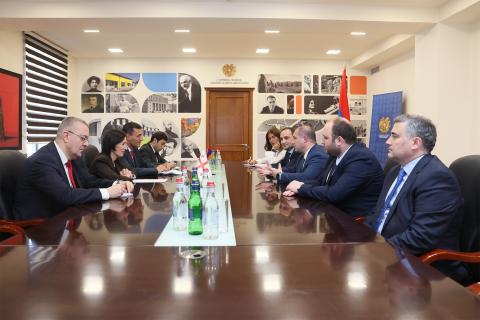Министр образования, науки, культуры и спорта Армении обсудила с грузинским коллегой ряд представляющих взаимный интерес вопросов