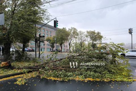 Consecuencias de fuertes vientos en la esquina de Halabyan y Estonia