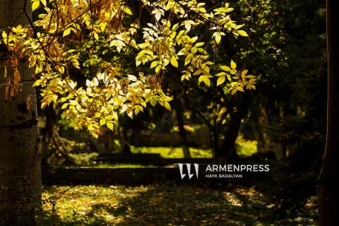 خريف يريفان-صور-