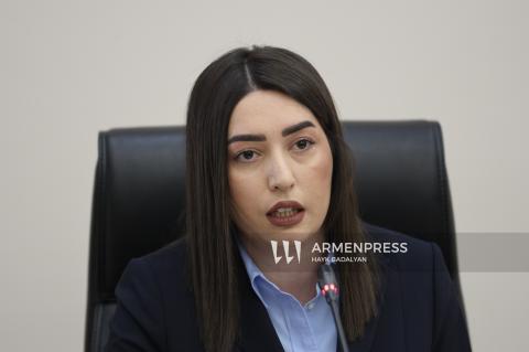 Министр внутренних дел Арпине Саргсян затронула вопрос приобретения дорогого автомобиля