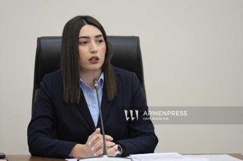 Կենցաղային բնույթի սպանությունները շարունակում են գերակշռել. ՆԳ նախարարը ներկայացրեց վիճակագրությունը