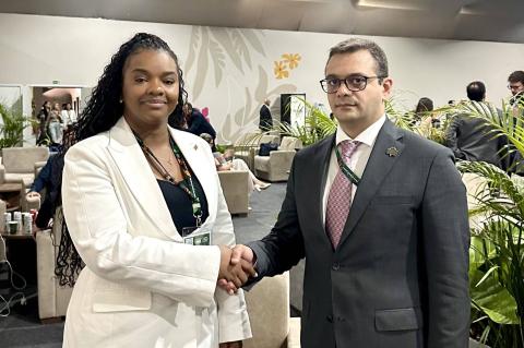 Deputy Foreign Ministers of Armenia and Congo discuss expanding bilateral cooperation