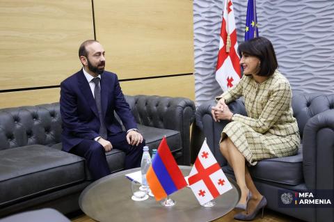 სომხეთისა და საქართველოს საგარეო საქმეთა მინისტრებმა რეგიონული საკითხები განიხილეს