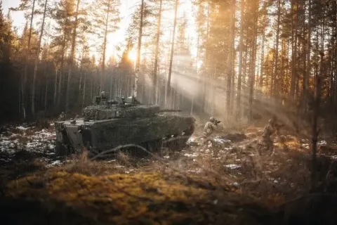 Литва объявила о создании «коридоров военной мобильности» в Европе