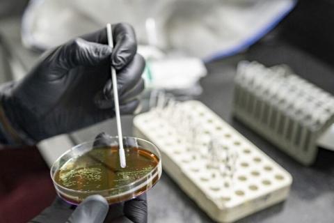 В США зарегистрирован первый случай заражения птичьим гриппом H5N5