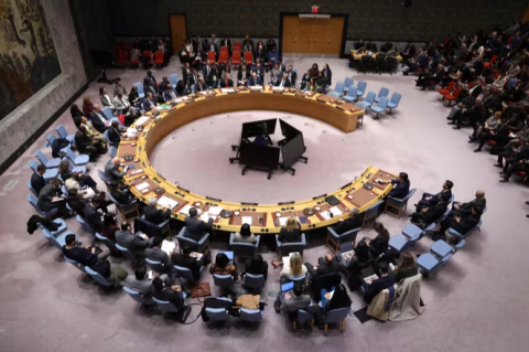 Trump's plan for Gaza backed by UN Security Council