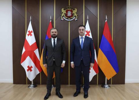 گفت‌وگوی وزرای اقتصاد ارمنستان و کشاورزی گرجستان درباره مسائل دوجانبه