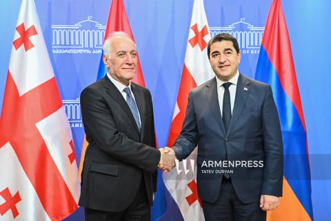 رئیس‌جمهور ارمنستان با رئیس پارلمان گرجستان در تفلیس دیدار کرد