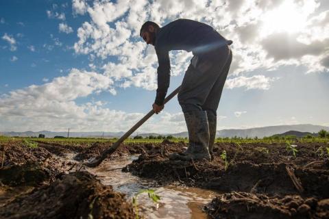 Водный комитет предлагает в некоторых случаях предоставлять поливную воду бесплатно
