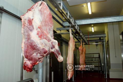 Շիրակի մարզում մոդուլային սպանդանոցների կառուցումն ընթացքի մեջ է