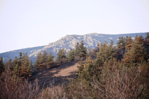 Extensive firefighting efforts bring wildfires across Armenia to an end