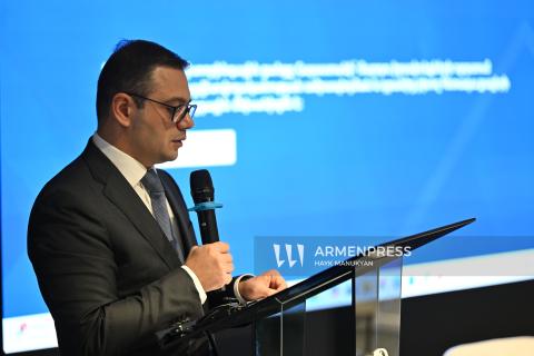 Внедрение сети мониторинга AI-NEMRA направлено на реализацию международных обязательств Армении в области прав человека - замминистра иностранных дел