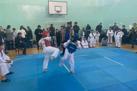 В Севане прошел чемпионат по тхэквондо «Кубок Севана»