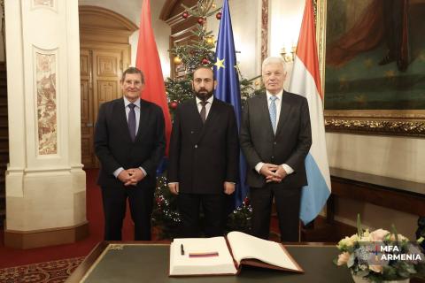 არარატ მირზოიანი შეხვდა ლუქსემბურგის დეპუტატთა პალატის პრეზიდენტს