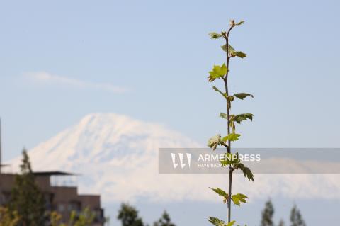 В Армении в ближайшие дни осадков не ожидается
