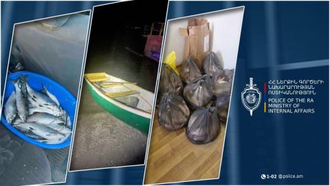 Ջրային պարեկները  հայտնաբերել են մեծ քանակությամբ ապօրինի որսած սիգ տեսակի ձուկ