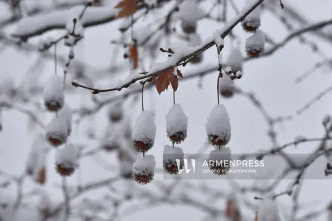 Առաջիկա օրերին ձյան տեղումները կշարունակվեն