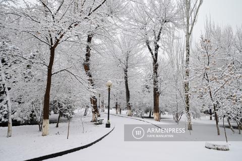 Снег полностью очистил воздух. Авинян о загрязнении воздуха
