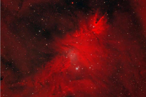 «Ռոսկոսմոս»-ը հրապարակել է ամանորյա տոնածառի նմանվող աստղերի լուսանկարը