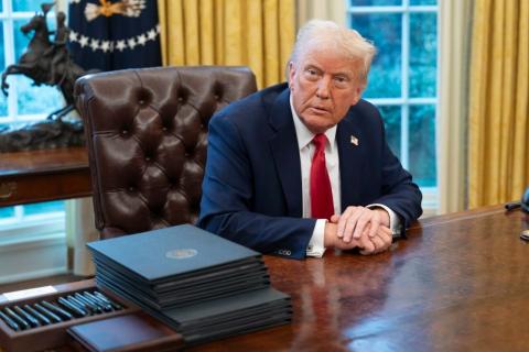 Редкоземельные металлы были необходимым условием для участия США в урегулировании конфликта в Украине - Трамп