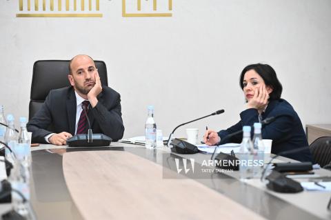 Session of the Parliamentary Committee on Science, Education, Culture, Diaspora, Youth, and Sports