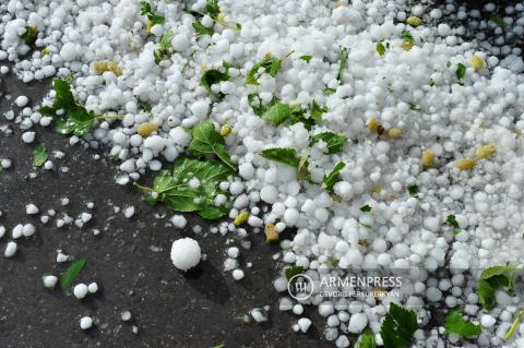 Շիրակի մարզում կարկտահարությունից տուժած հողօգտագործողներին հատկացվել է փոխհատուցում