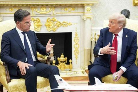 Трамп обсудил с Рютте проблему Гренландии