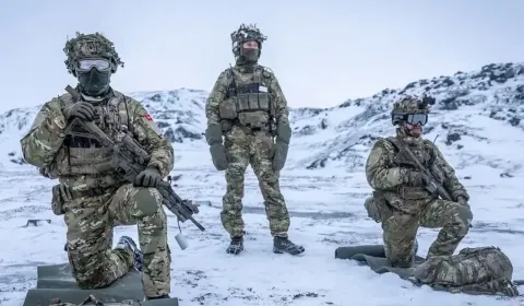 Франция попросила НАТО провести учения в Гренландии