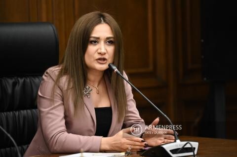 Ընտրություններին մասնակցող կուսակցությունների օգտին կամ նրանց դեմ քարոզչություն իրականացնող դիտորդները չեն հավատարմագրվի. նախագիծ