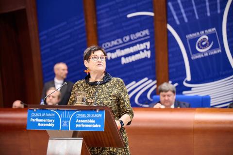 我们支持亚美尼亚与阿塞拜疆之间的和平进程——欧洲委员会议会大会主席