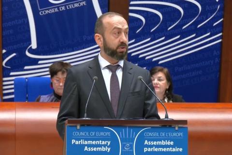 Ahead of elections, Armenia will rely on democracy itself to safeguard democracy — FM at PACE