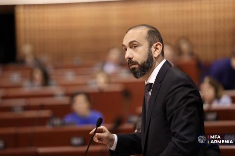 FM: Armenia, together with PACE, will overcome all potential hybrid attacks