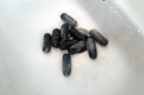 Гражданин Нидерландов ввез в Армению 845 граммов наркотического средства кокаин: задержан ряд лиц