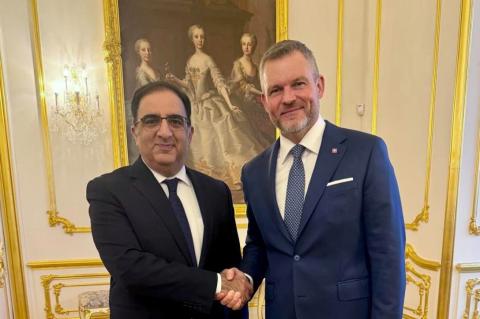 Посол Армении и президент Словакии обсудили вопросы укрепления двусторонних отношений