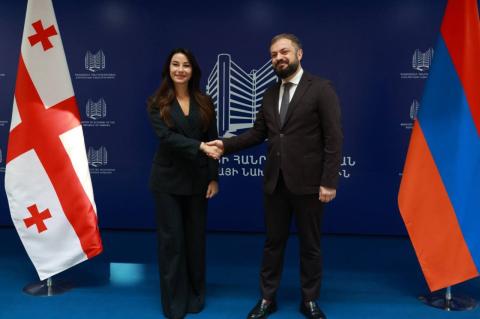 Georgian Minister of Economy and Sustainable Development visits Armenia