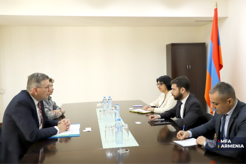 亚美尼亚副外长与国际移民组织地区主任讨论援助纳卡地区难民事宜