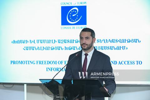 Armenia highly values CoE’s role as cornerstone of democratic security and guarantor of human rights, says Vice Speaker