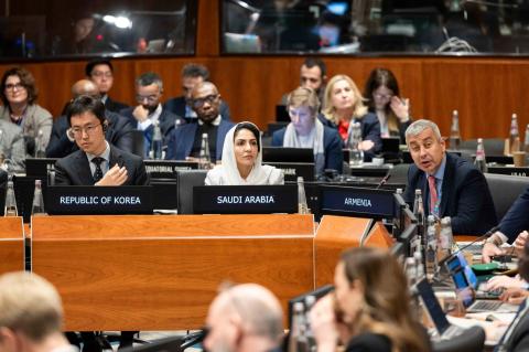 UN WFP’s four-year plan for Armenia adopted in Rome